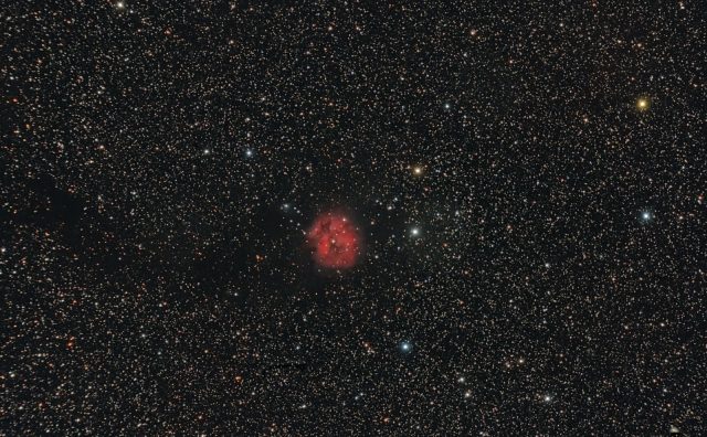 Constelação Cignus - Astronomia