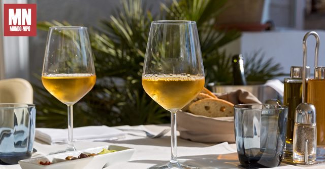 Vinho importado