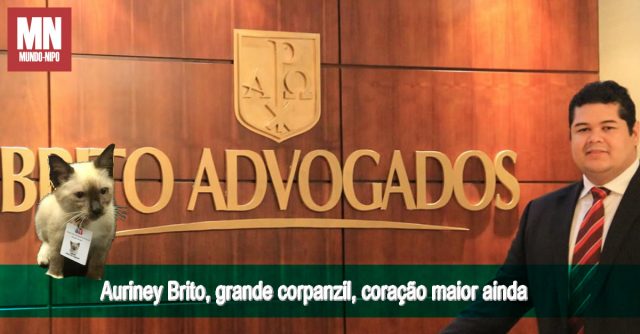 Gato OAB