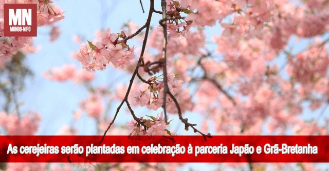 11 Pixabay