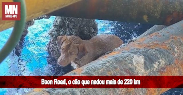 2 Metrópoles