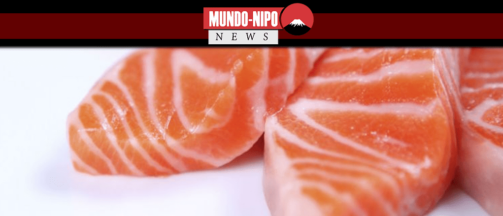 Fatias de sashimi de salmão