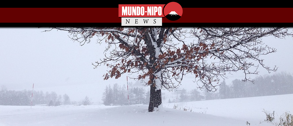 Hokkaido Passa Por Temperaturas Congelantes E Alcanca 9 ºc Mundo Nipo