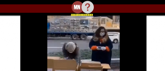 Chineses distribuem mascaras nas ruas do Japão