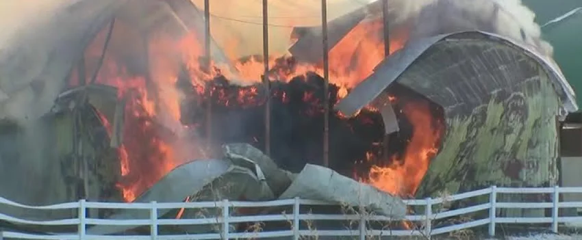 Um trágico incêndio em uma fazenda de Hokkaido, na região de Tokachi, resultou na morte de aproximadamente 20 cabeças de gado. A polícia investiga a causa.