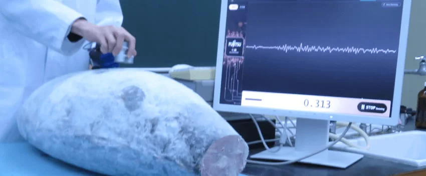 Fujitsu lança dispositivo com inteligência artificial para determinar teor de gordura do atum albacora. Tecnologia inovadora para amantes do Japão e culinária japonesa.