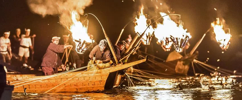Descubra a fascinante pesca tradicional de corvos-marinhos em Gifu, Japão. Uma tradição milenar com espetáculos noturnos imperdíveis!