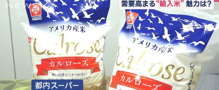 Descubra como o arroz importado está mudando o mercado japonês. Analisamos preço, sabor e dicas de preparo para essas alternativas mais acessíveis.