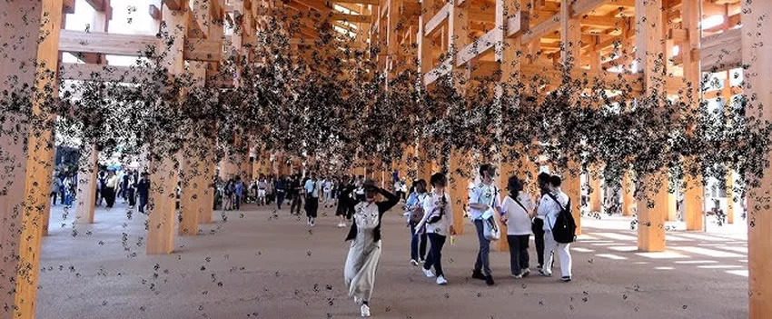 A Expo Osaka-Kansai 2025 enfrenta enxames de chironomídeos. Saiba mais sobre esses insetos e as medidas que a organização está tomando para garantir o conforto dos visitantes.