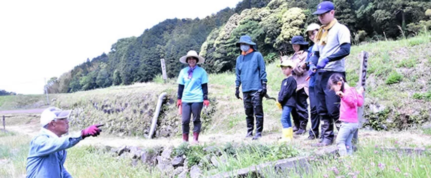 Descubra como programas de "agricultor de meio período" revitalizam o cultivo de arroz em terraços no Japão, conectando famílias à tradição e garantindo segurança alimentar.