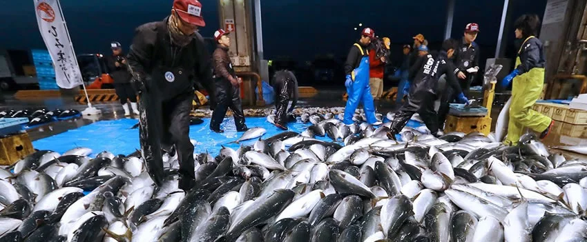 A China retoma as importações de frutos do mar japoneses após proibição ligada a Fukushima. Entenda o acordo e o futuro das relações comerciais Japão-China.