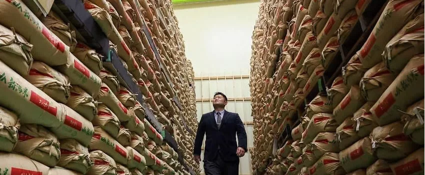 O Japão impulsiona a exportação de arroz japonês para mercados globais, visando um crescimento de 8x até 2030. Descubra as novas estratégias e metas ambiciosas.