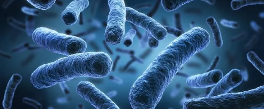 Descubra o surto de Legionella na Expo Osaka-Kansai, com níveis alarmantes na Praça das Águas. Entenda as medidas tomadas e o impacto nos espetáculos.