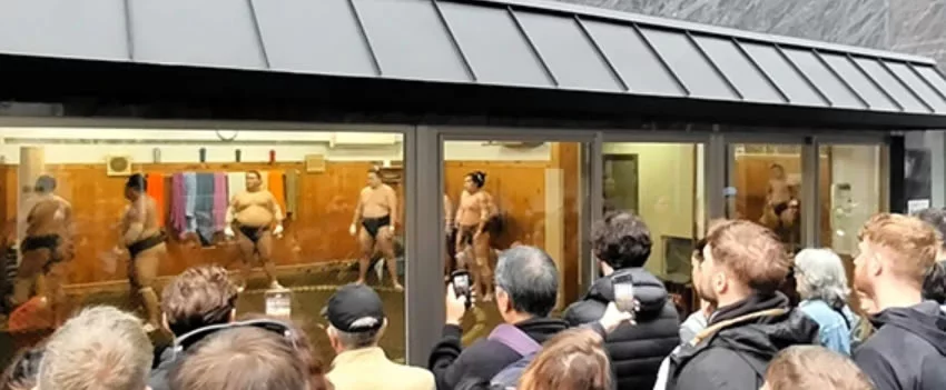 Descubra como os estábulos de sumô no Japão estão abrindo suas portas para turistas. Entenda o fenômeno do sumô como atração turística e sua importância para o futuro do esporte.
