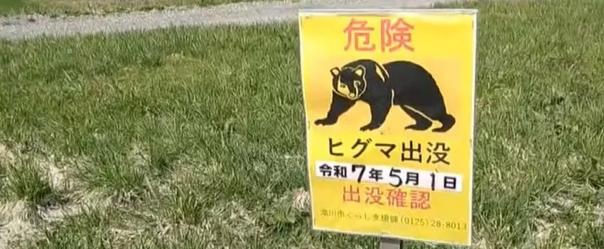 Caçador mata urso em campo de golfe em Sapporo sem autorização e caso gera investigação em Hokkaido.