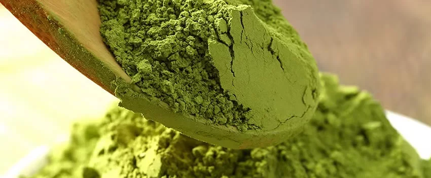 O boom global do matcha pressiona o tradicional sencha, transformando a Cultura do Chá Japonês. Descubra o impacto nos preços, produção e o dilema dos agricultores.