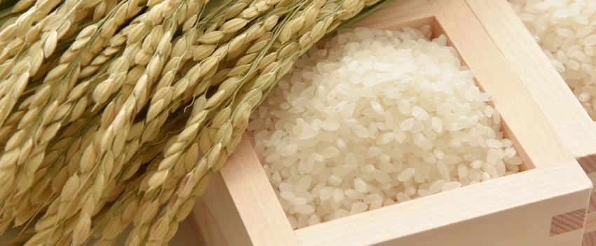 Descubra como a culinária japonesa autêntica está crescendo no Brasil, impulsionando o comércio e a oferta de produtos alimentícios do Japão.