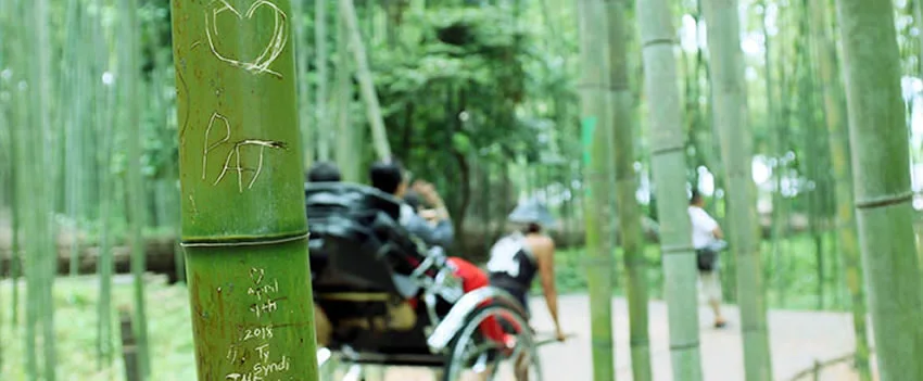 Mais de 350 hastes danificadas! Descubra como o crescente vandalismo no Bosque de Bambu de Arashiyama, em Kyoto, ameaça essa atração icônica e o que as autoridades farão.