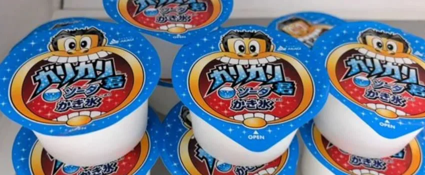 Descubra por que o picolé japonês GariGarikun cuidados paliativos é um alimento reconfortante surpreendente, proporcionando prazer a pacientes terminais. Leia agora!