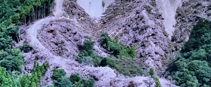 Desmatamento maciço em Kamogawa, Chiba, para megaprojeto solar: 365 mil árvores derrubadas. Entenda a controvérsia sobre a segurança e os padrões ambientais revisados.