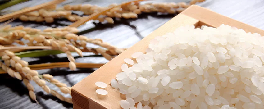 A perspectiva para os preços do arroz no Japão sofre uma reviravolta! Descubra os motivos da queda e como isso afeta o mercado.