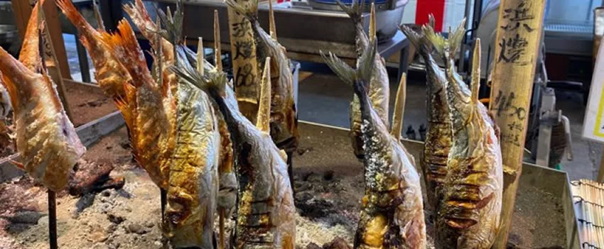 Descubra o lendário mercado de Fukuoka onde 5 mestres trabalham antes do amanhecer e 12.000 espetos de yakitori são vendidos por dia! Um paraíso da culinária japonesa.