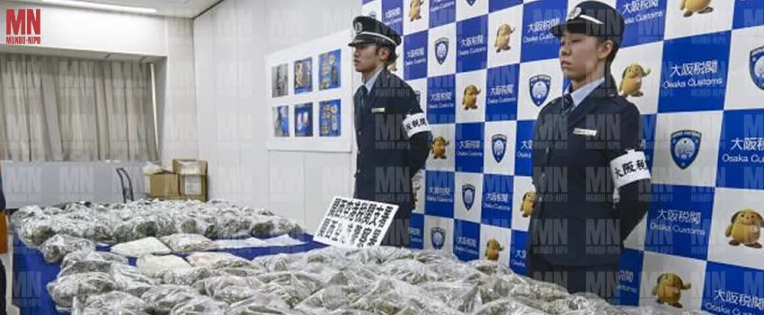 Polícia de Osaka bate recorde com a maior apreensão de cannabis no Aeroporto de Kansai. Entenda o caso das duas mulheres detidas com 31kg da droga vinda da Tailândia.