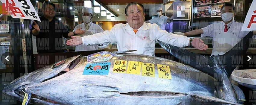 O atum recorde no Japão atingiu 510 milhões de ienes no leilão de Toyosu em 2026. Veja os detalhes do lance histórico e os preços nos restaurantes.
